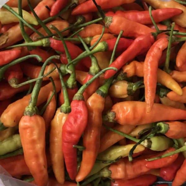 Cabe Rawit Merah 250 gr