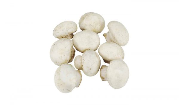 Jamur Champignon Regular