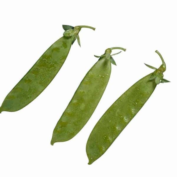 Kacang Kapri