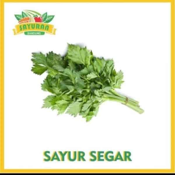 seledri 1ikat