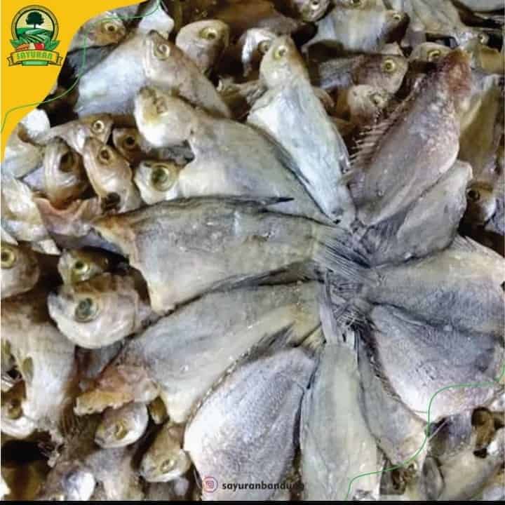 asin sepat besar 100gr