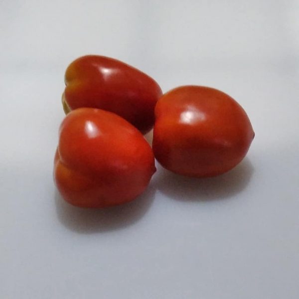 Tomat merah 500gr