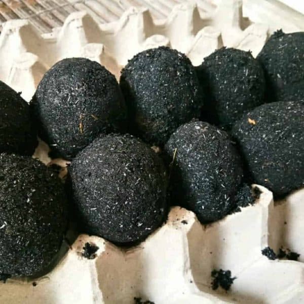 Telor asin Bebek mentah isi 10