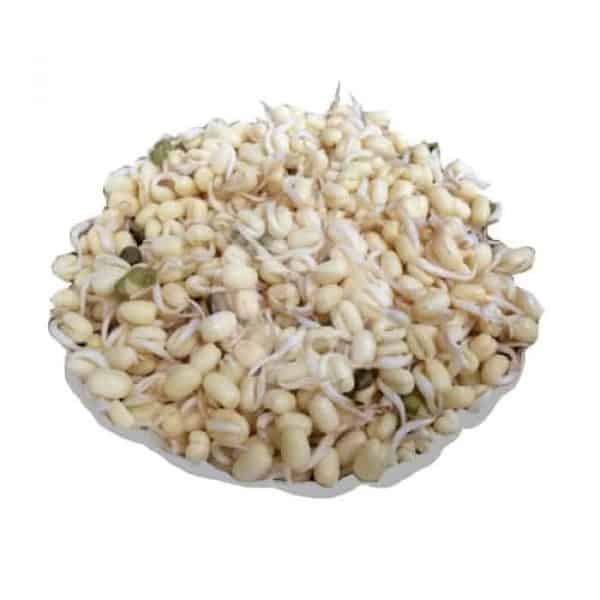 Tauge Pendek 250 g