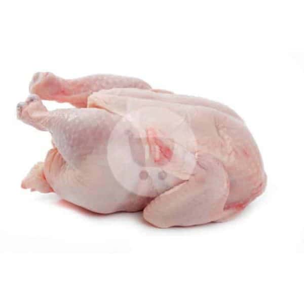 Ayam Karkas 0.9 - 1 kg