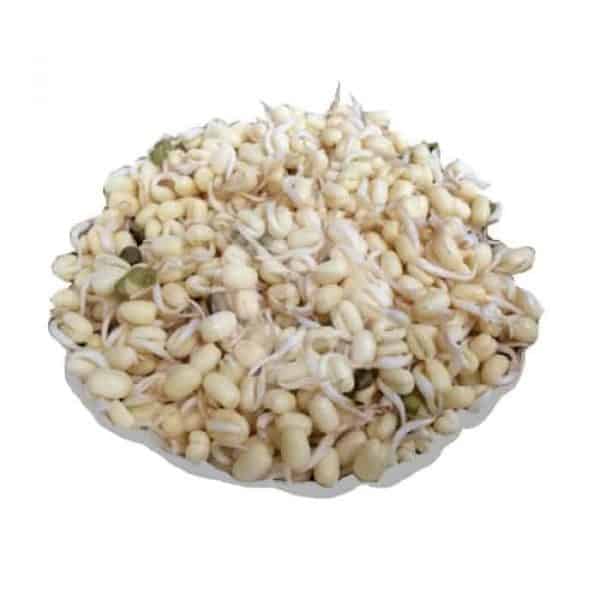 Tauge Pendek 250 g