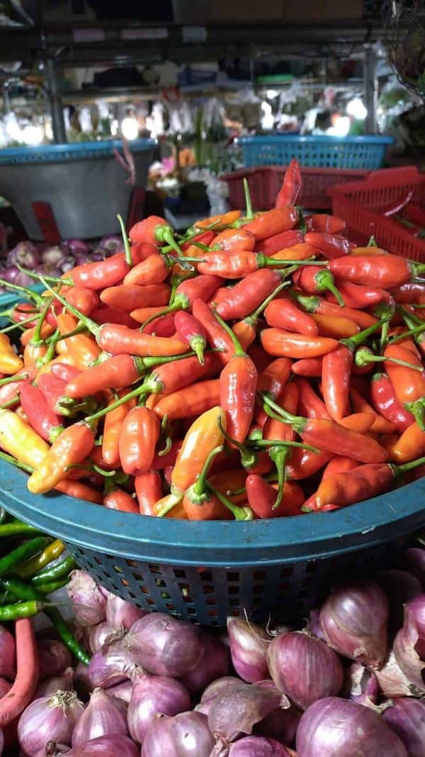 Cabe Rawit Merah 250gr