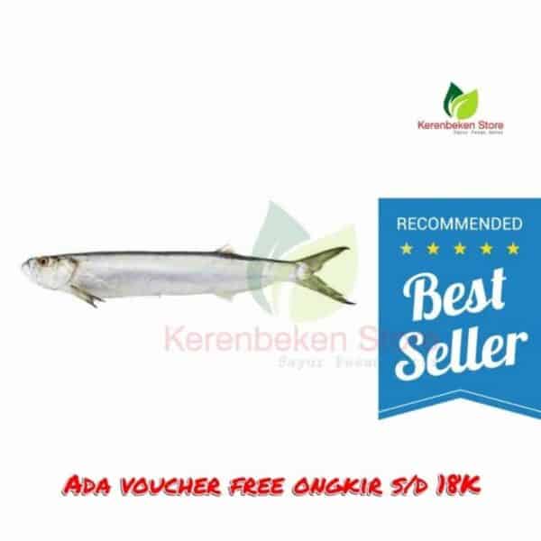 ikan golok golok - parang parang per kg