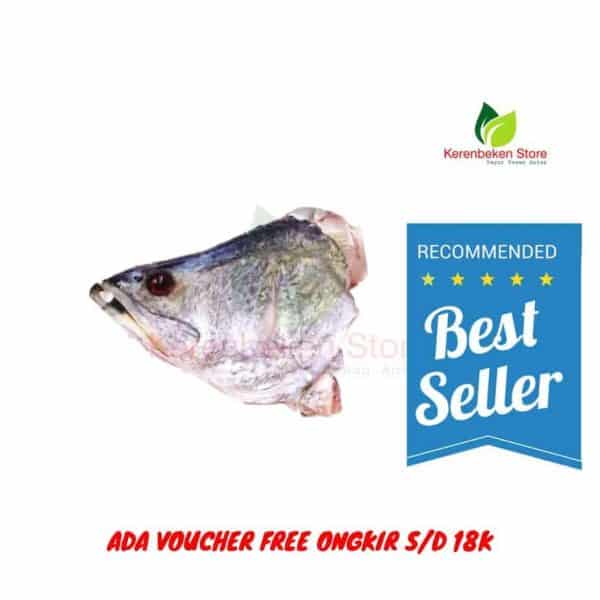 kepala ikan kakap putih per kepala berat ±1300gr