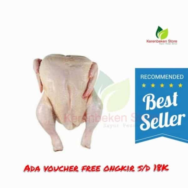 ayam kecil ukuran ±800gr per ekor