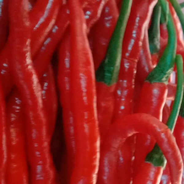 cabe merah 1kg