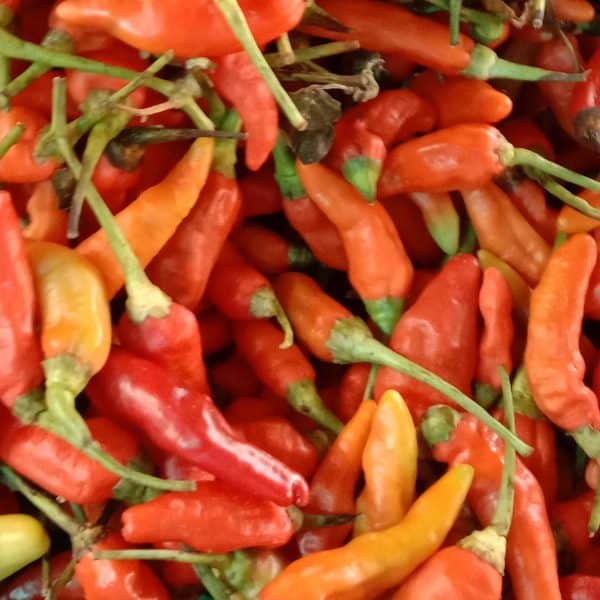 Rawit merah 1kg