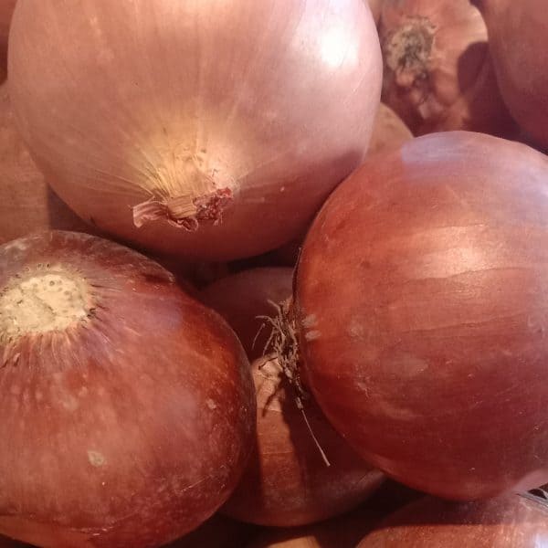 Bawang Bombay 1kg