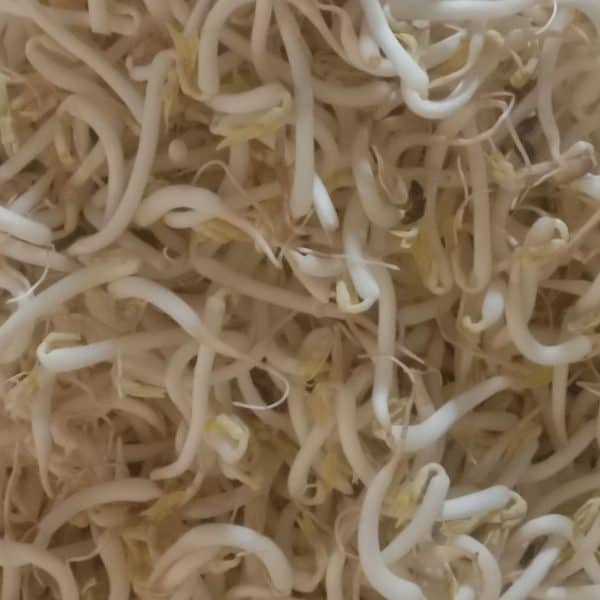 Toge 1kg