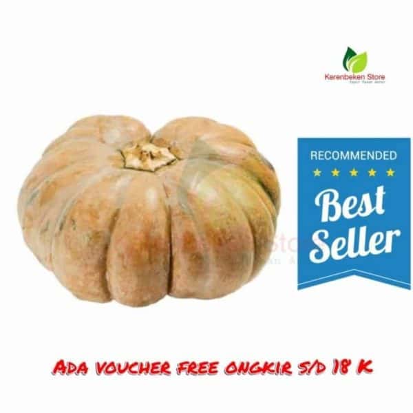 labu kuning per buah berat ± 1,5kg