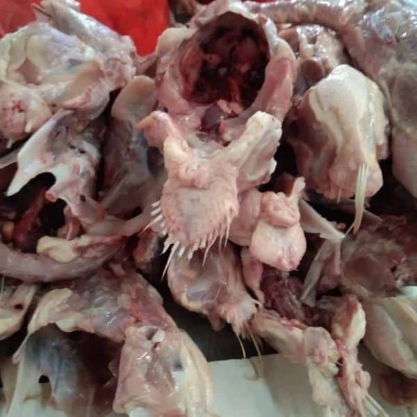krongkongan ayam