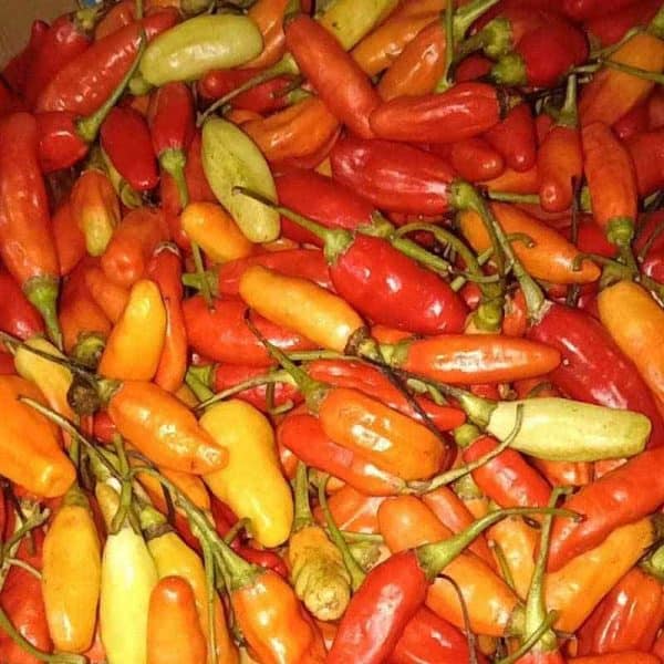 Cabe rawit merah