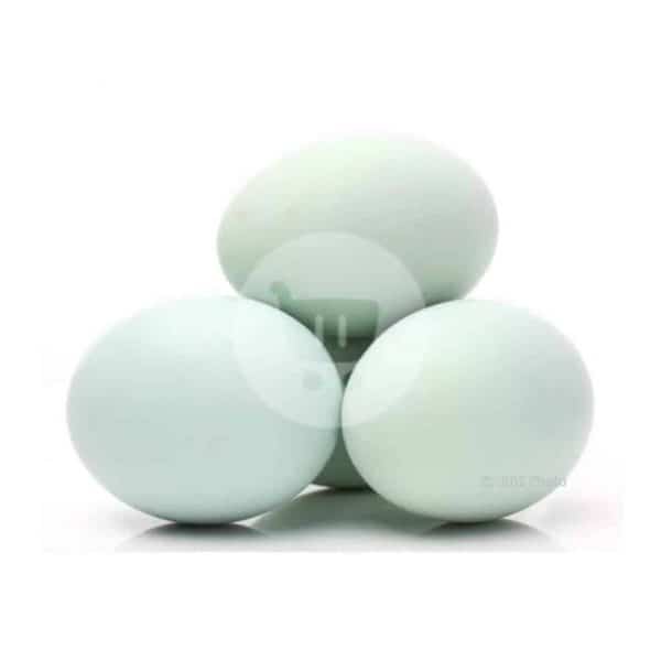 Telor Bebek 10 Pcs