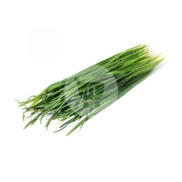 Daun Kucai / Ikat