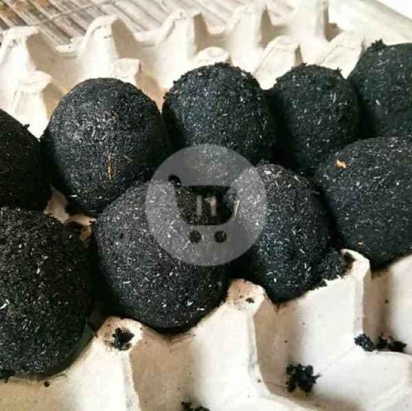 Telor Asin Bebek Mentah 1 Pcs