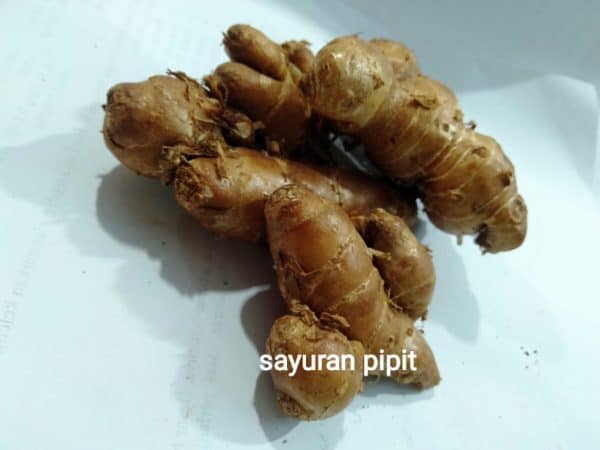 kencur 250 g