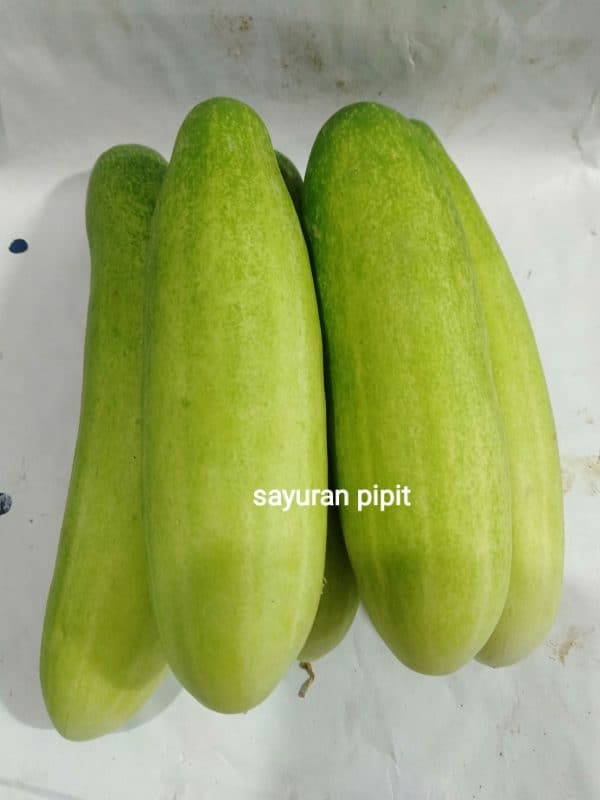 Timun 500g