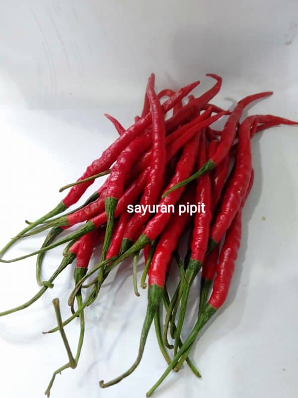 cabe merah kriting 250 g