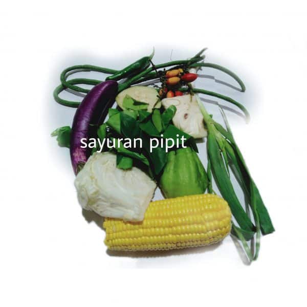 sayur lodeh