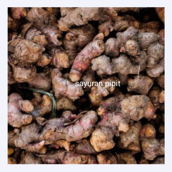 jahe merah 250g