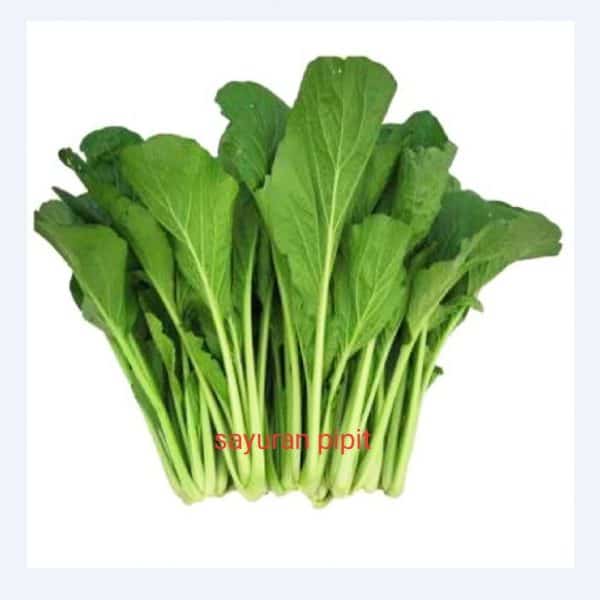 sawi hijau 500g