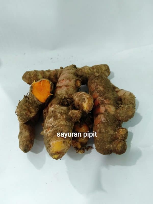 kunyit 250g