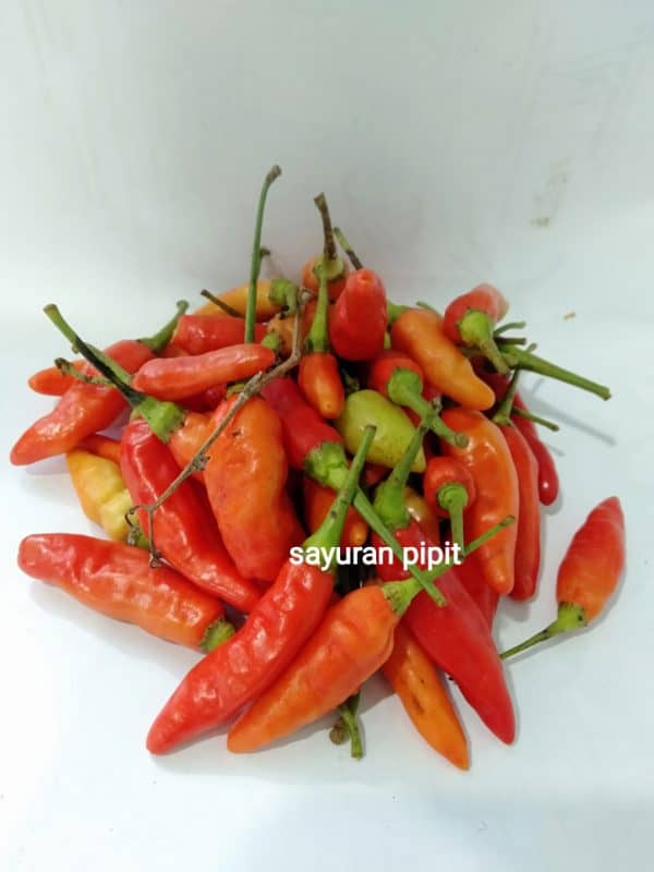 rawit merah 500g