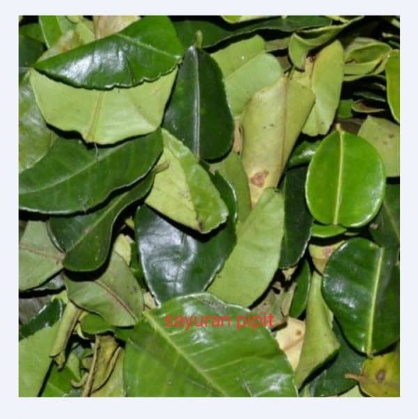 daun jeruk 50g