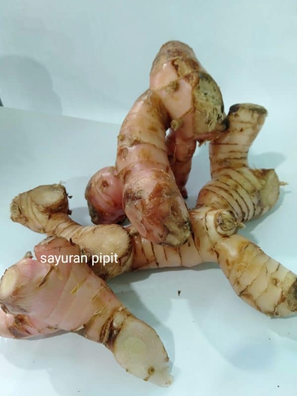 lengkuas 500g