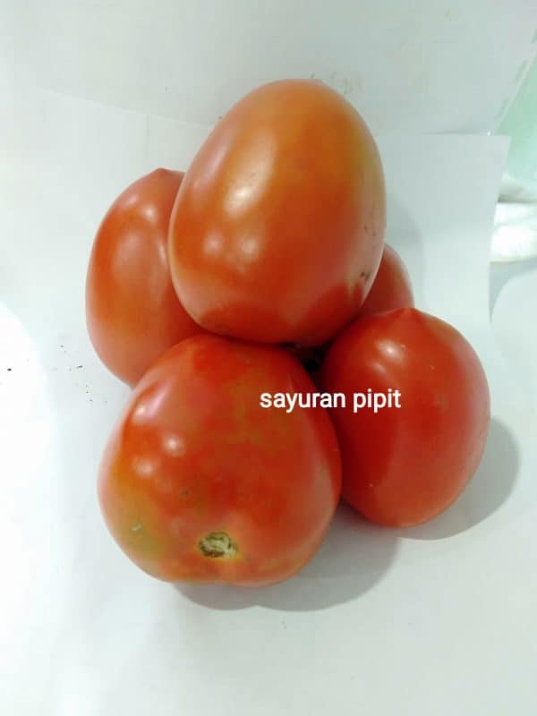 tomat merah 250g