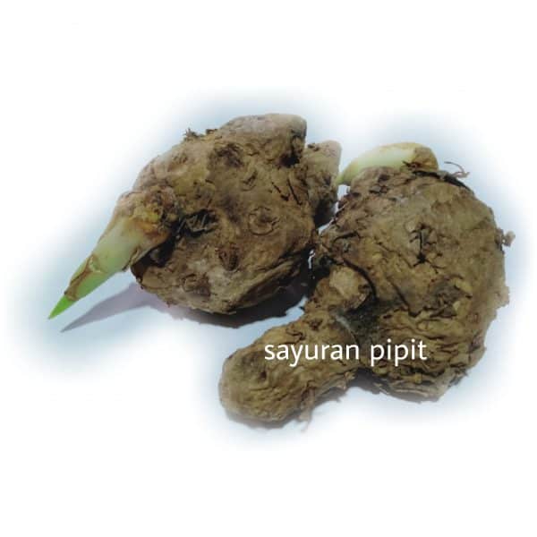 temu lawak 500g