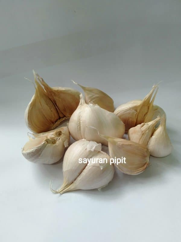 bawang putih kating 500 g