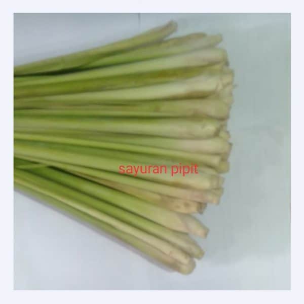 sereh Bangkok 500g