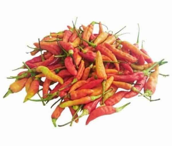 cabe rawit merah