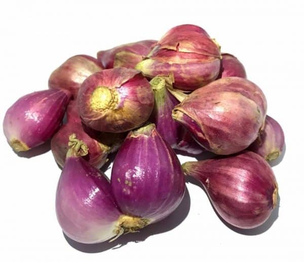 bawang merah