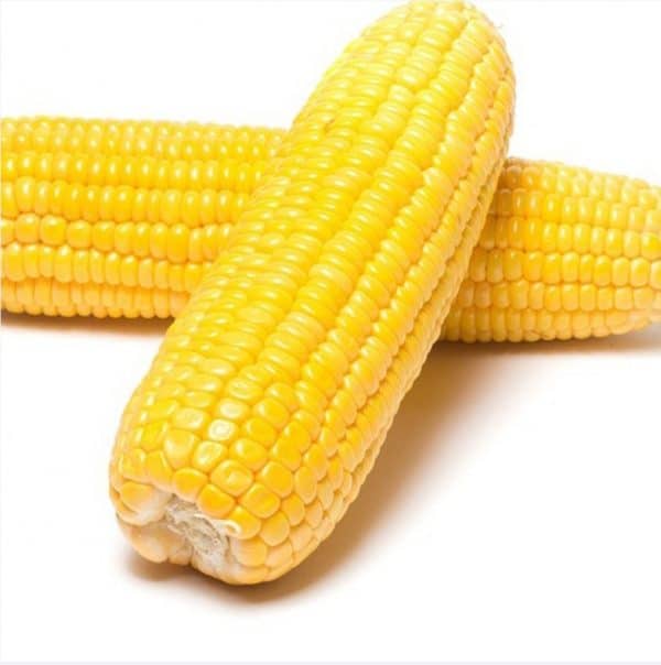 jagung manis kupas 2 pics