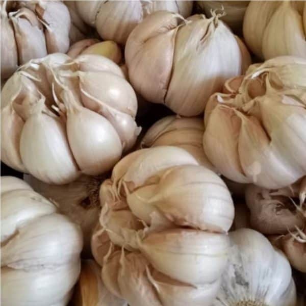 bawang putih  bulet 250 g