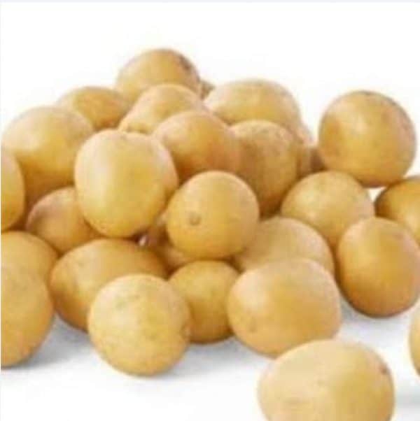 kentang baby tusuk 250 g