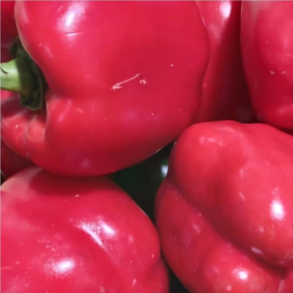 paprika merah biji