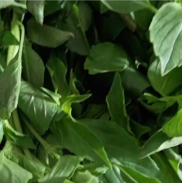 Daun kemangi 1 pack isi 4 ikat