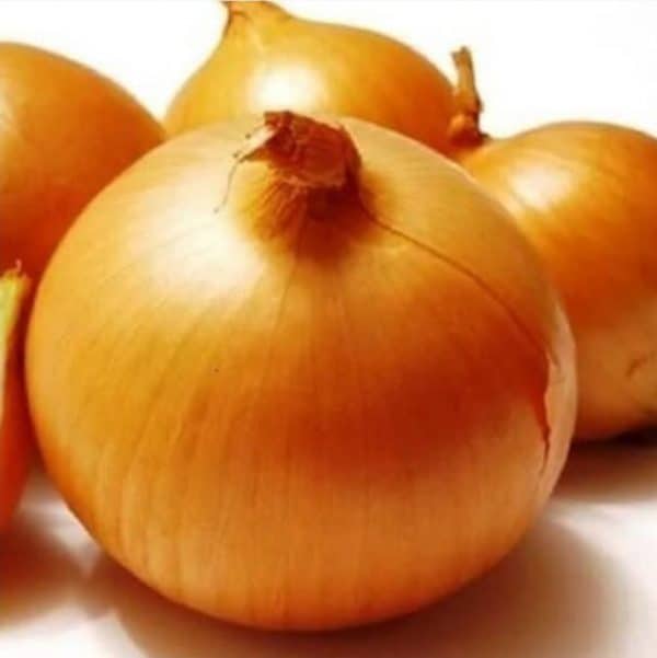 bawang bombay 500 g