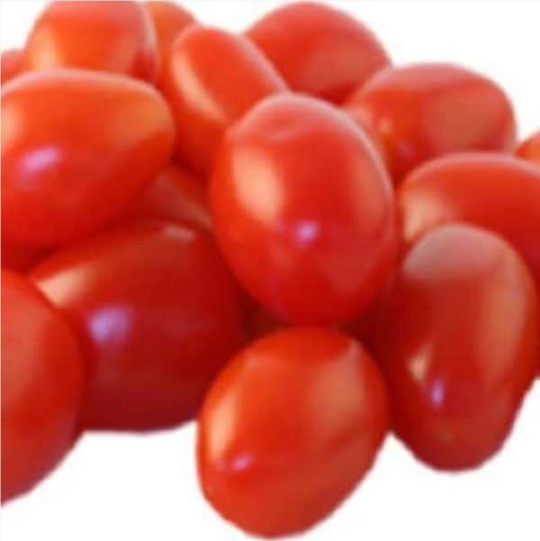 tomat merah sedang 1 kg