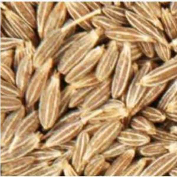 jinten 20 g