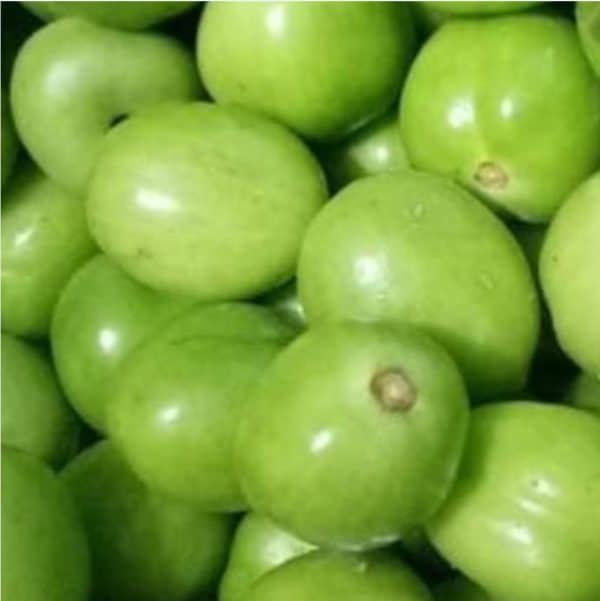 tomat hijau 1 kg
