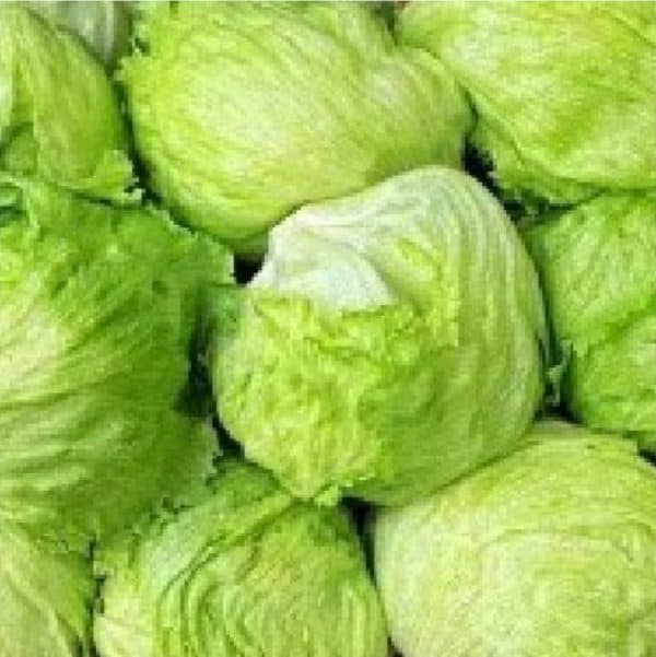 lettuce
